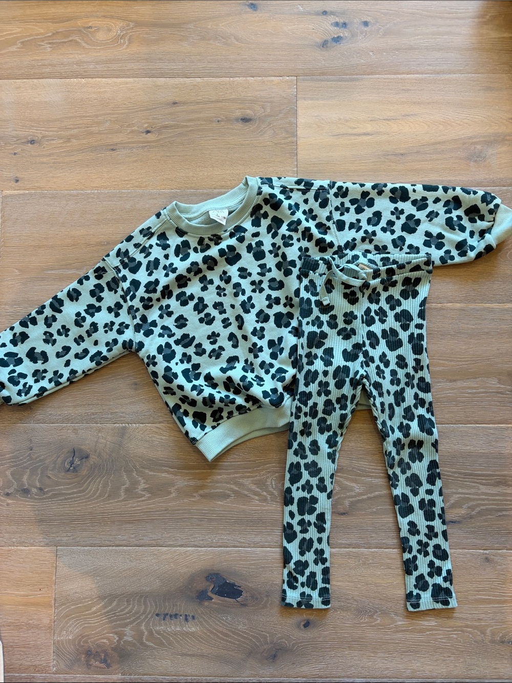 Zara Leopard Kids Sweatshirt a Set - Sweatshirt & Ribbed Leggings